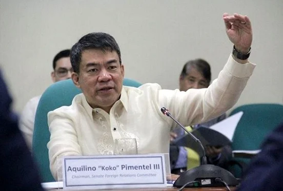 Koko Pimentel career and net worth