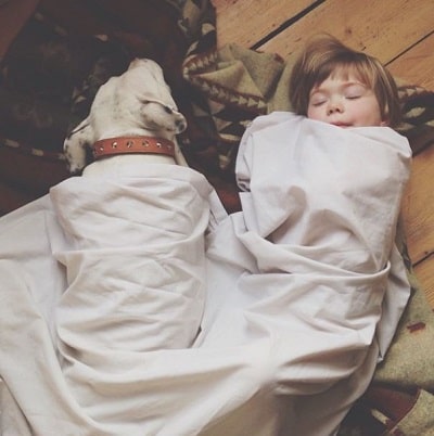 EJ Osborne's pet dog with his daughter Orla Osborne