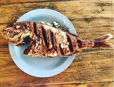 Jenna Karvunidis Food habits