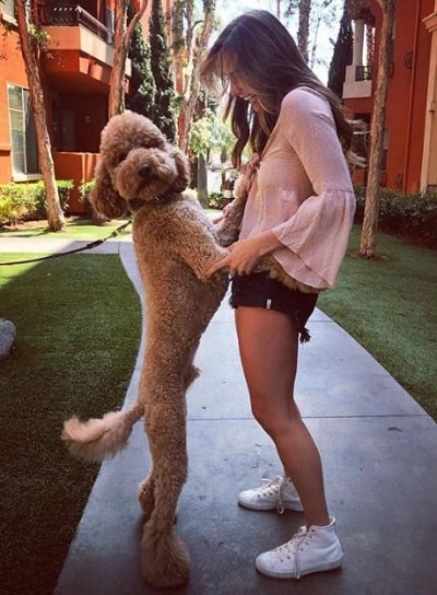 Lorynn York has a pet dog