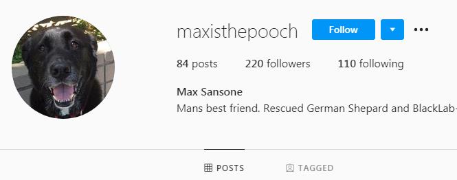 Max's IG profile