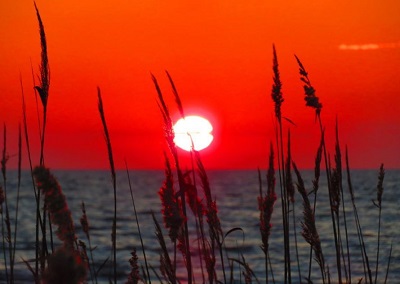 Troy Zarba loves nature's photography