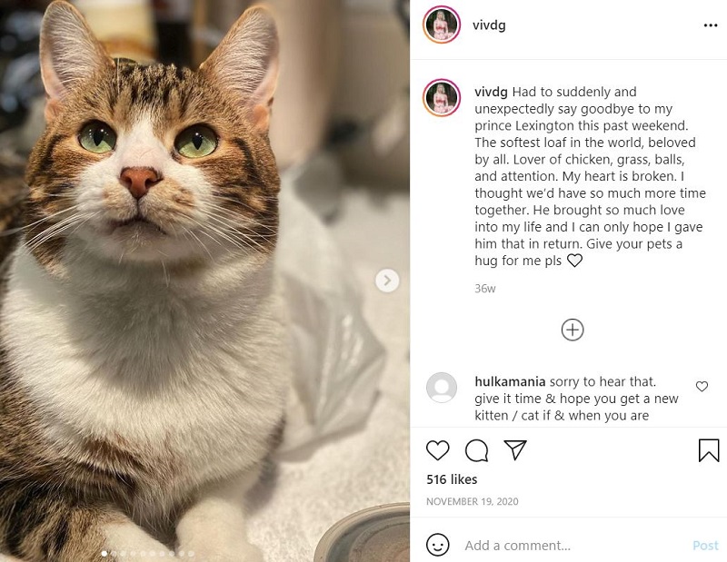 Genevieve DeGraves had a cat who passed away in November 2020