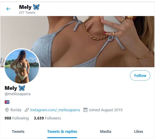 Melissa Parra Twitter profile