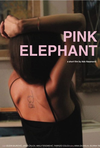 Cooper Van Grootel acted in Pink Elephant
