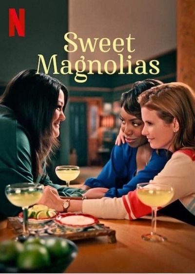 Dion Johnstone appear in Sweet Magnolias season 2
