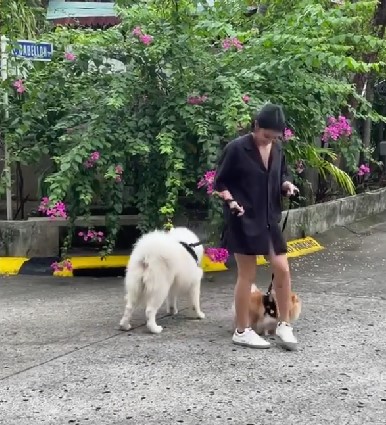 Bianca Umali with her pet dogs