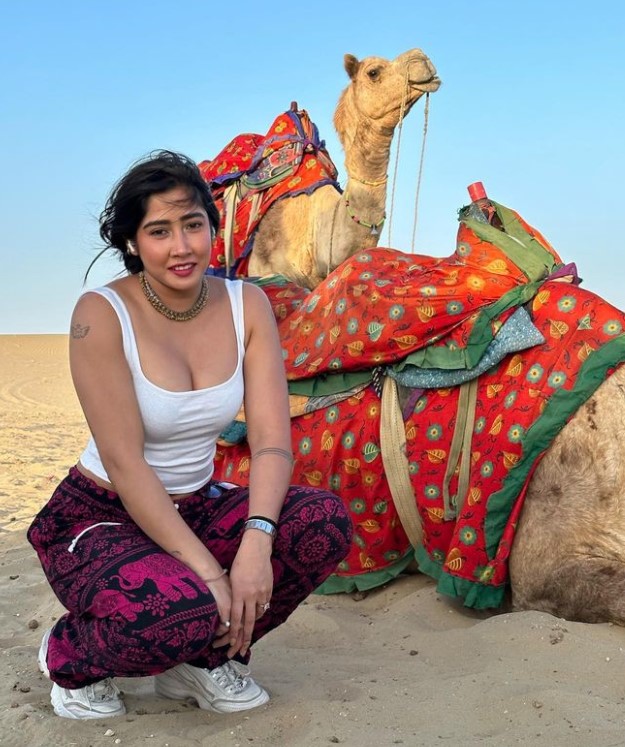 Sofia Ansari also has a YouTube channel with over 529+ K subscribers