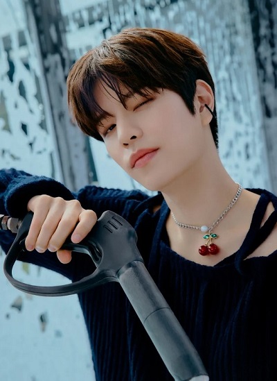 Seungmin Career