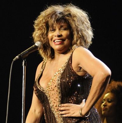 Tina Turner Net Worth