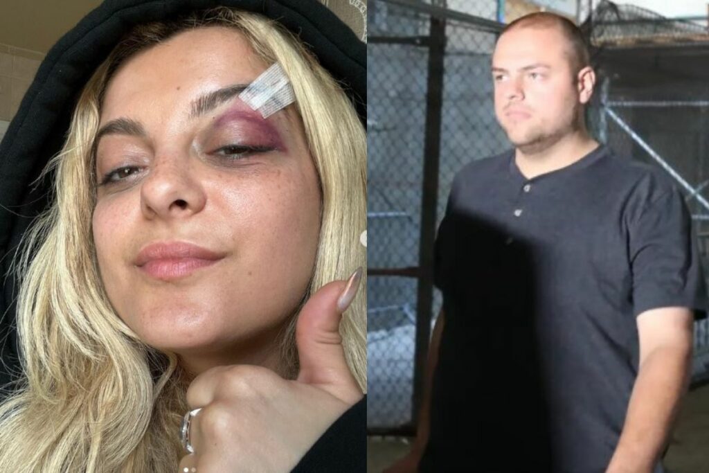 Nicolas Malvagna Wiki: The Man Behind the Bebe Rexha Phone Incident Nicolas Malvagna