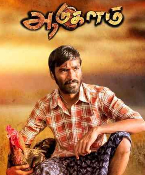 VJ Akshaya career