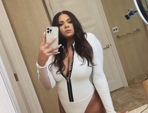 BriDASH wiki