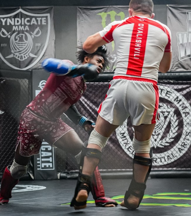 Aljamain Sterling profession