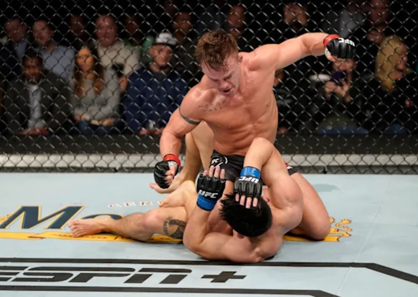 Cody Stamann profession