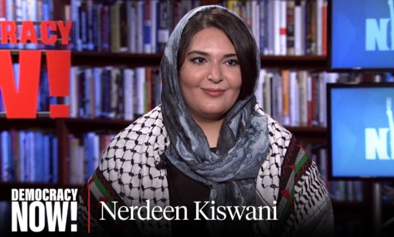 Nerdeen Kiswani career