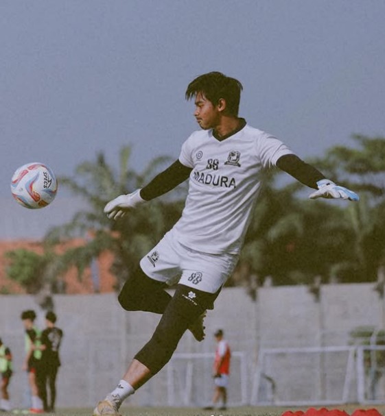 Satria Tama Hardiyanto career