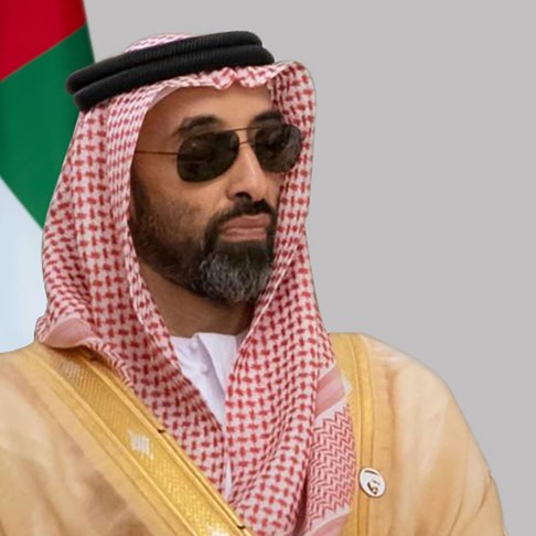 Tahnoon bin Zayed Al Nahyan wiki