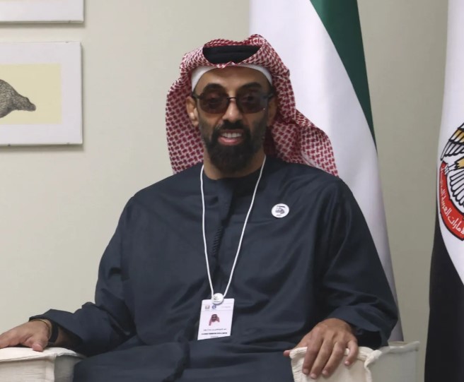 Tahnoon bin Zayed Al Nahyan wikipedia