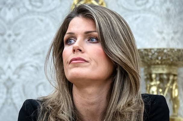 Lindsey Halligan wikipedia